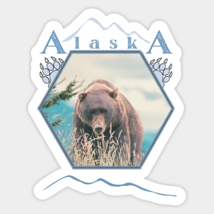 Alaska Brown Bear Sticker